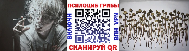 Псилоцибиновые грибы Magic Shrooms  Верхнеуральск 